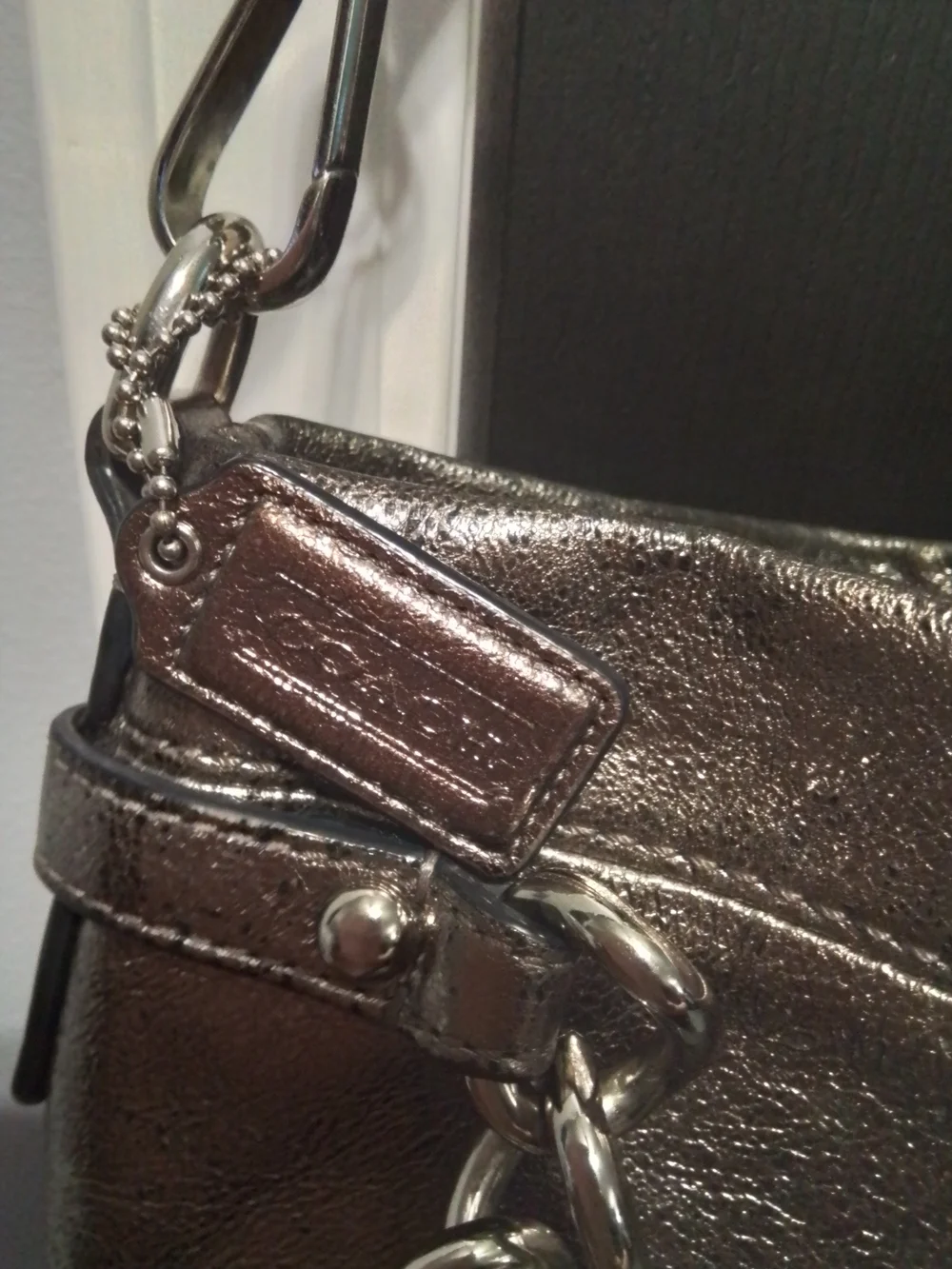 Coach Metallic Hobo Shoulder Bag